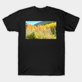 Colorado Fall Colors in the Aspen Trees T-Shirt